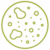 Fungal Prone Skin