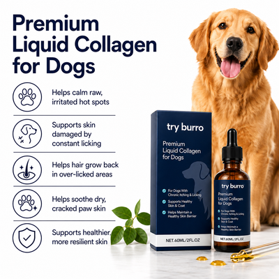 Golden Paws™ - Liquid Collagen for Dogs With Skin Irritation