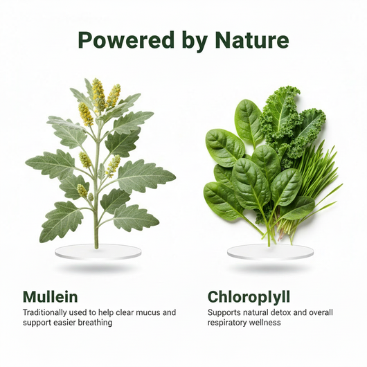 Try Burro™ -Mullein & Chlorophyll for Mucus Relief, Clear Airways & Easier Breathing